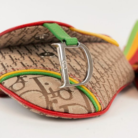 Dior Rasta Trodder Saddle Belt Bag - Picture 2 of 6